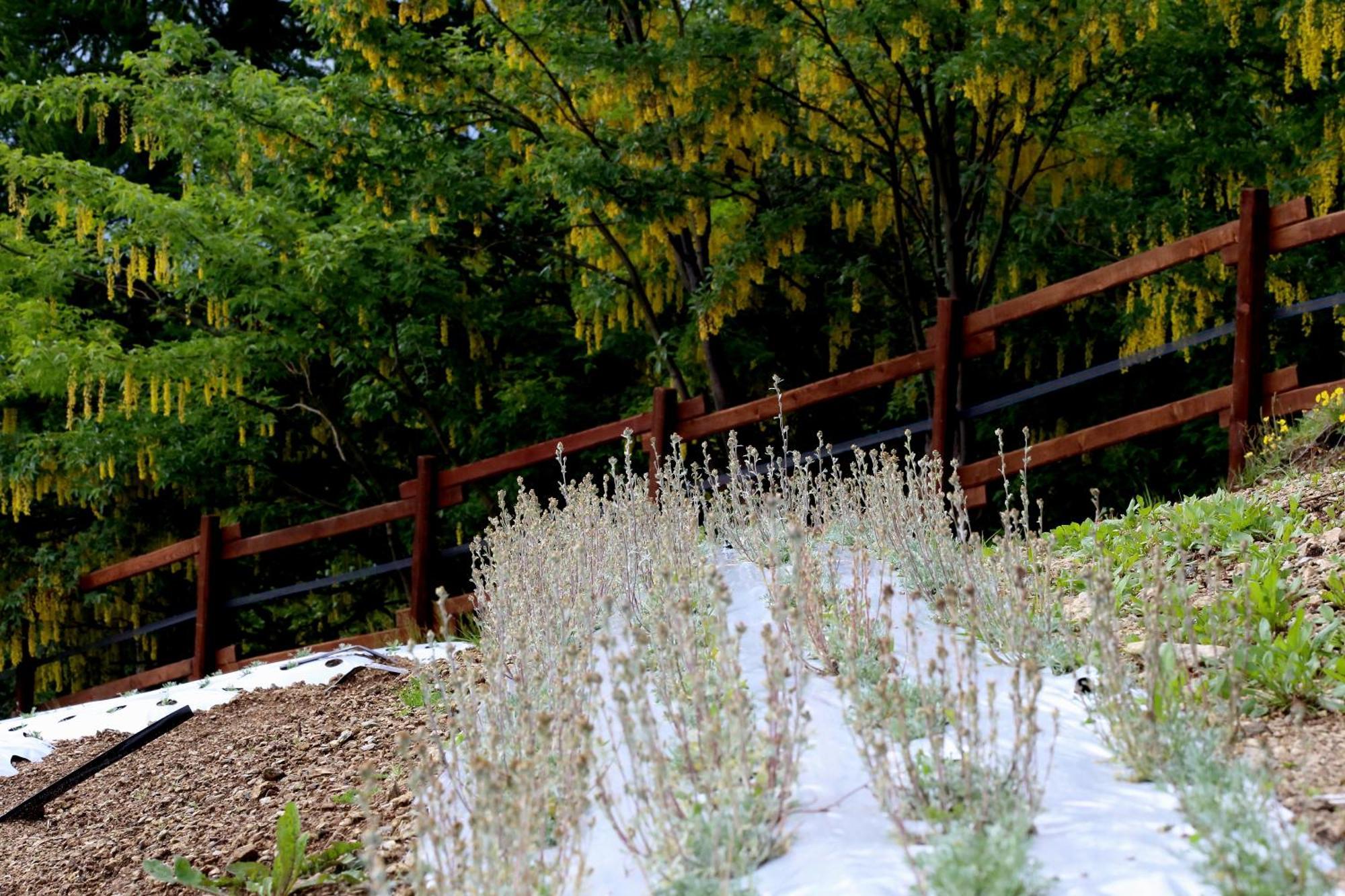 Agriturismo A Nostro Mizoun Ostana エクステリア 写真