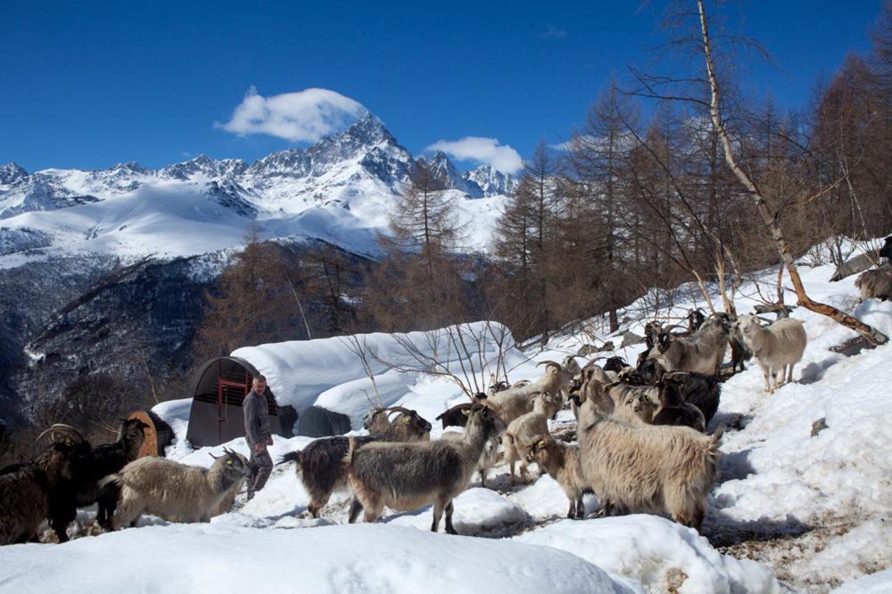 Agriturismo A Nostro Mizoun Ostana エクステリア 写真